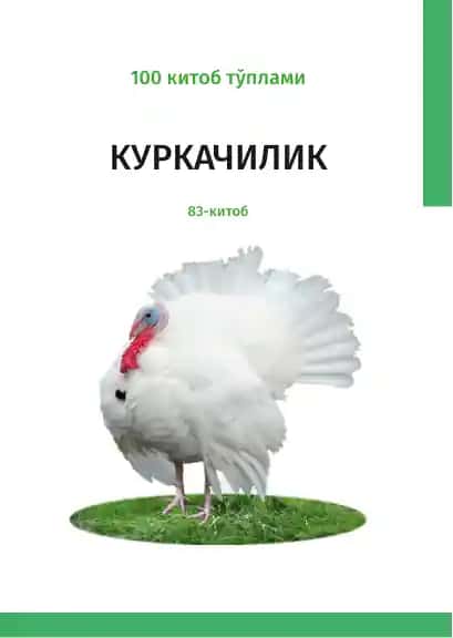 Куркачилик