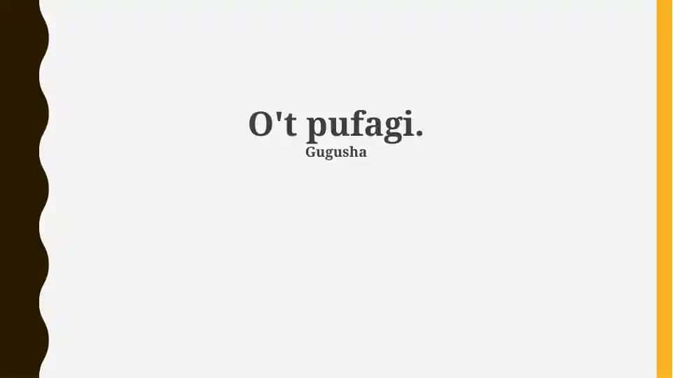 O‘pka kasalliklari va qo‘llab-quvvatlash guruhlari bo‘yicha taqdimot