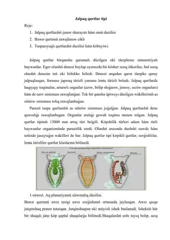 Jalpaq qurtlar tipi