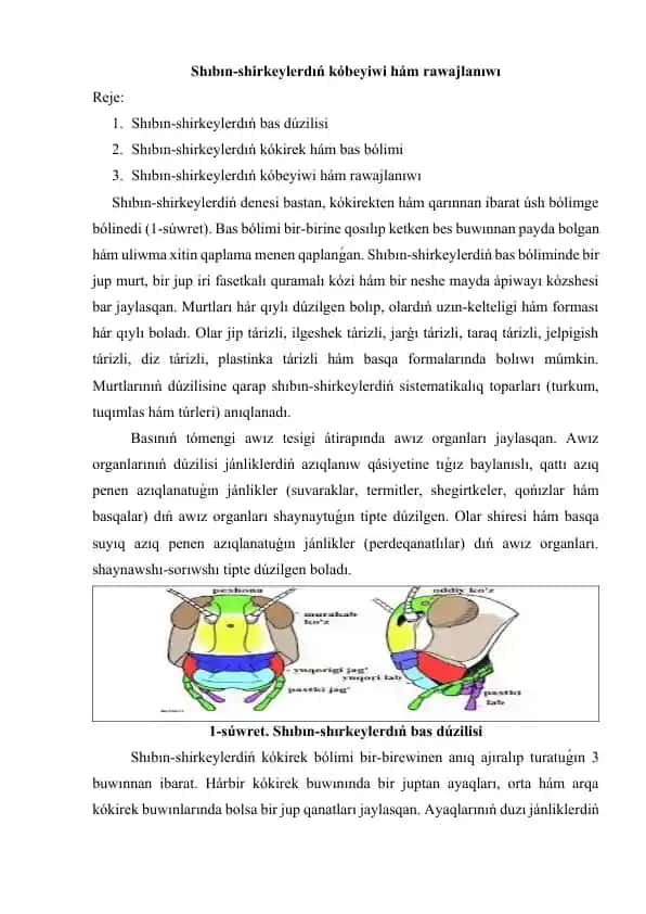 Shıbın-shirkeylerdıń kóbeyiwi hám rawajlanıwı