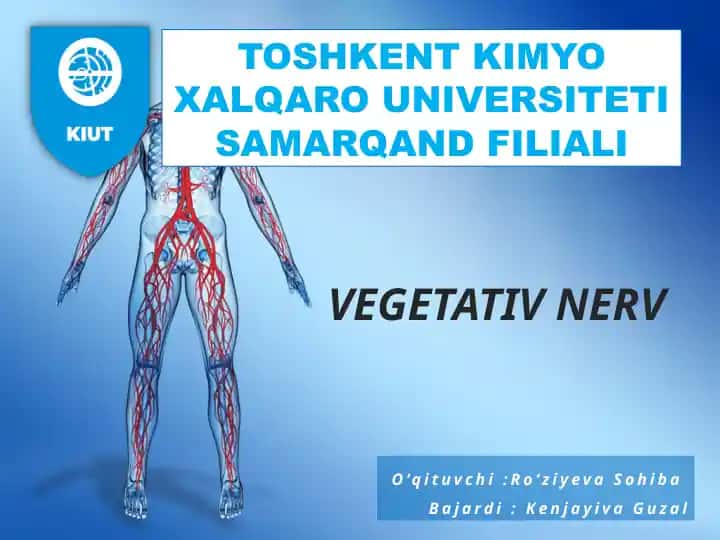 Vegetativ nerv
