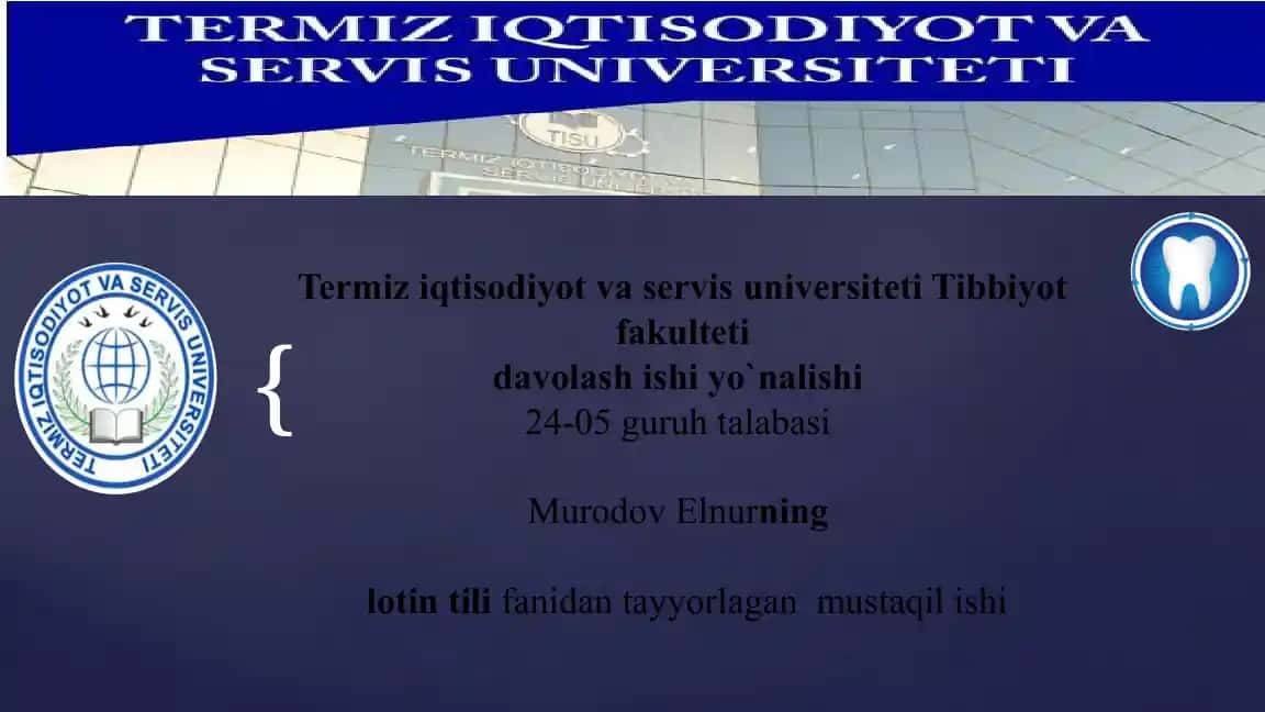 Anatomik Iboralarning Tarjimasi