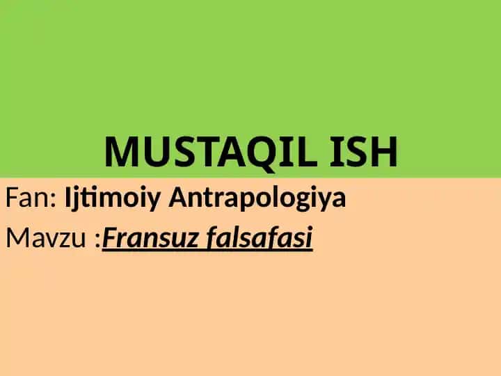 Fransuz falsafasi