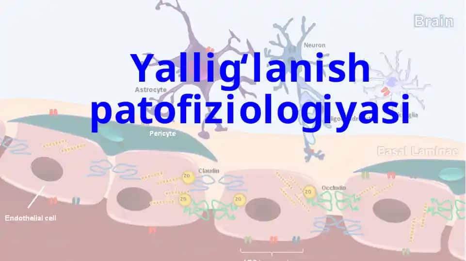 Yallig‘lanish patofiziologiyasi