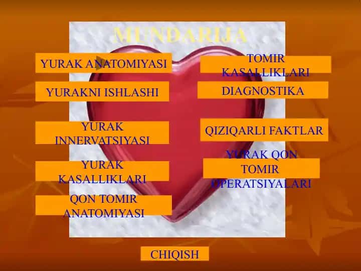 YURAK ANATOMIYASI