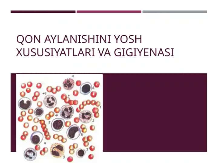 Qon Aylanishini Yosh Xususiyatlariva Gigiyanasi