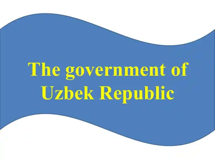 The government of Uzbek Republic