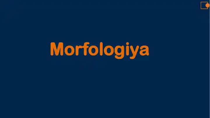 Morfologiya