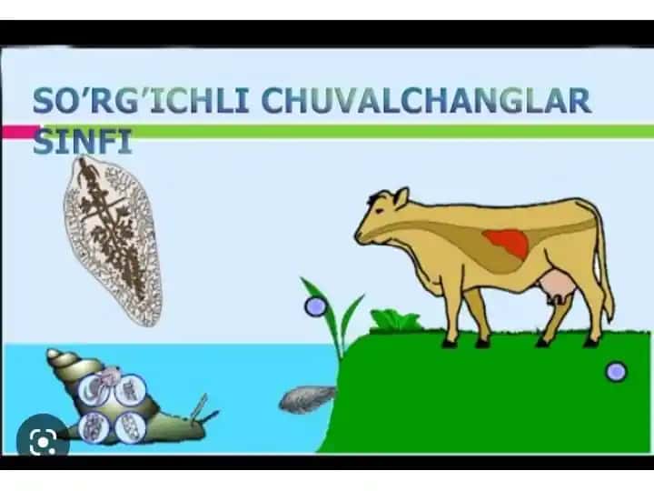 SO’RG’ICHLI CHUVALCHANGLAR