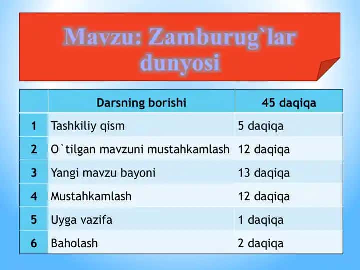 Zamburug`lar dunyosi