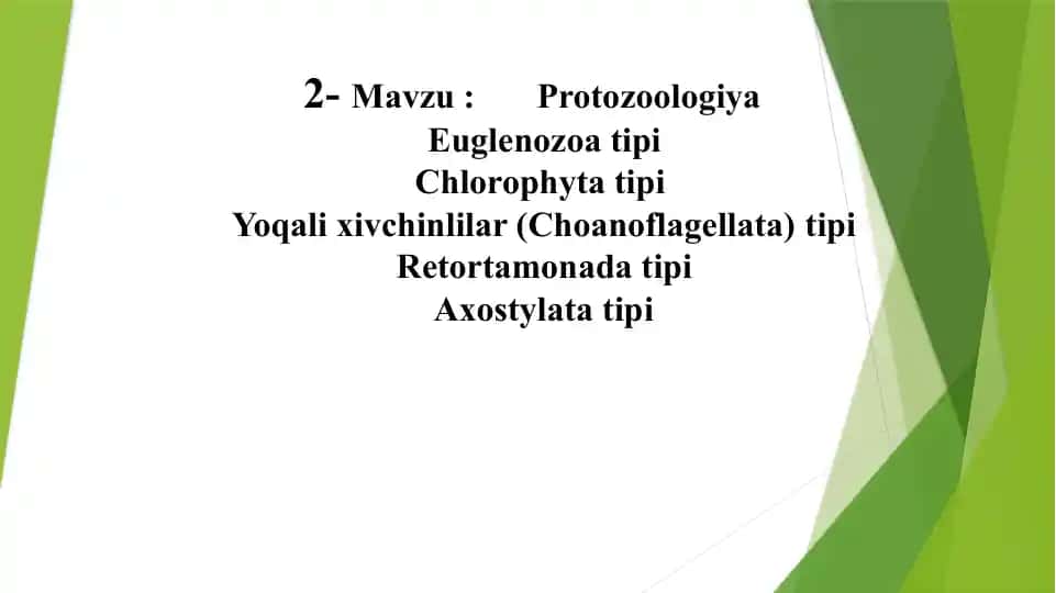 Evglenozoylar (Euglenozoa)