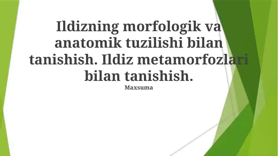 Ildizning morfologik va anatomik tuzilishi bilan tanishish