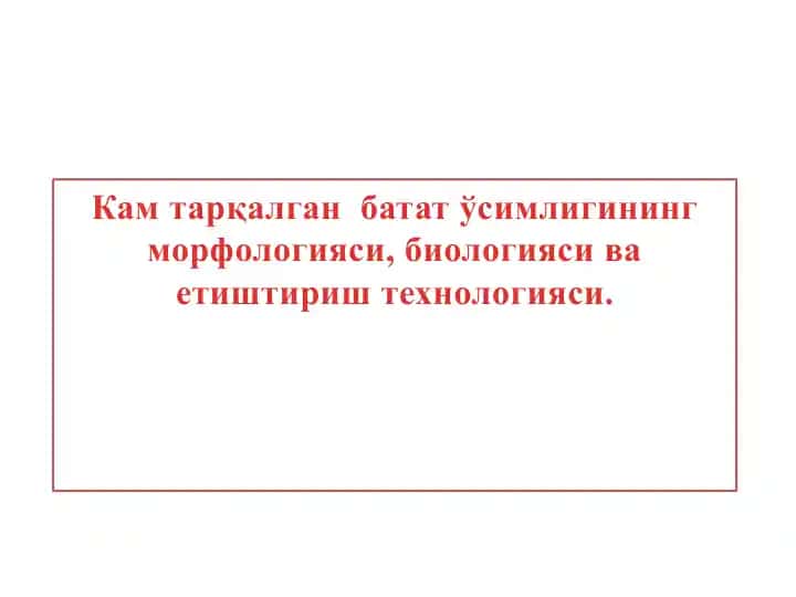Батат