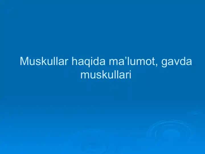 Musklar haqida ma'lumot