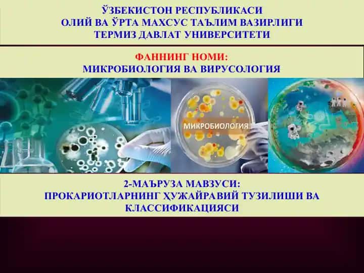 МИКРОБИОЛОГИЯВА ВИРУСОЛОГИЯ