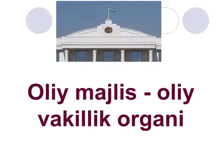 Oliymajlis-oliyvakillikorgani