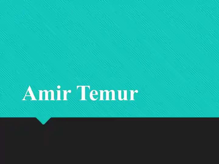 Amir Temur
