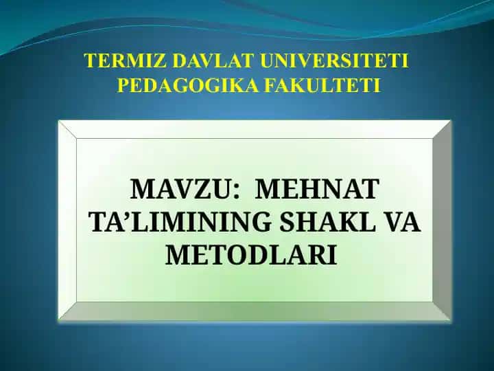 MEHNATTA’LIMINING SHAKL VA METODLARI