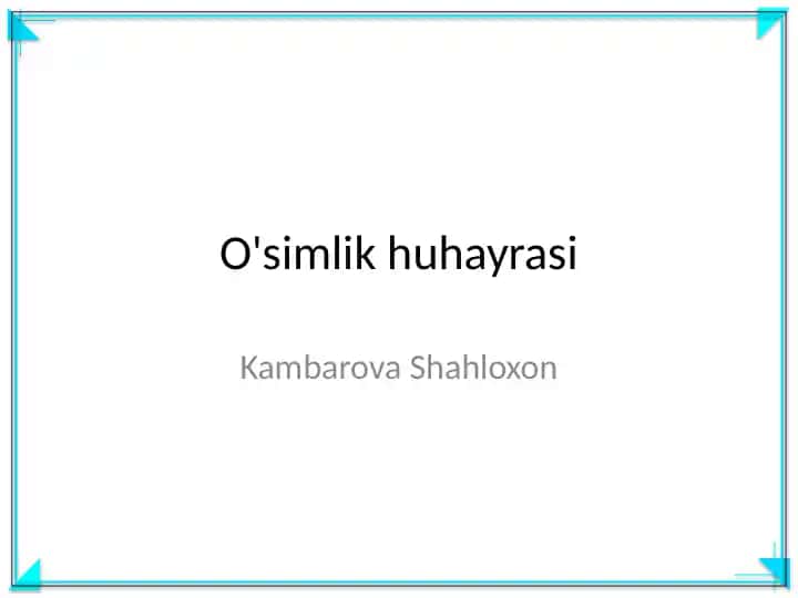 O'simlik huhayrasi