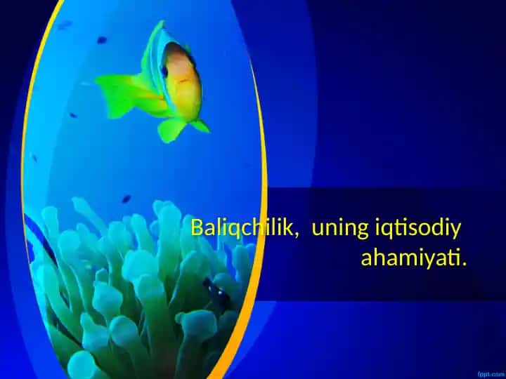 Baliqchilik