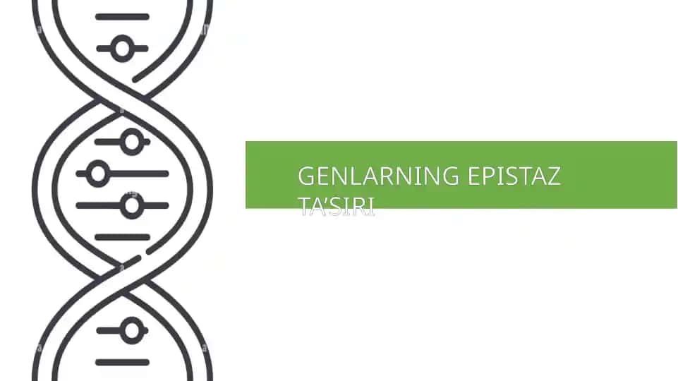 GENLARNING EPISTAZ TA’SIRI