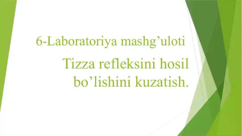 Laboratoriya mashg’uloti