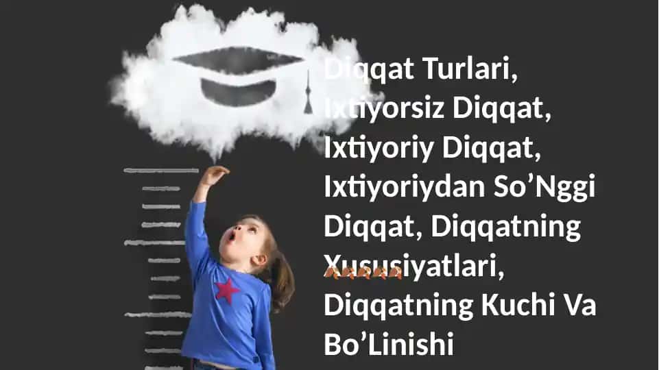 Diqqat Turlari