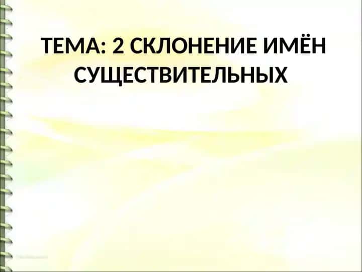 2 склонение имён существительных