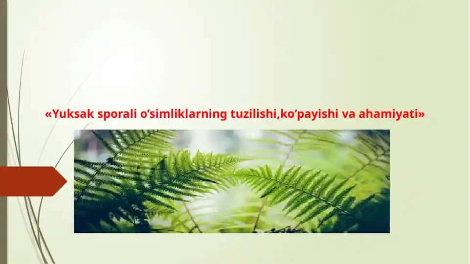 Yuksaksporalio’simliklarning tuzilishi, ko’payishi va ahamiyati