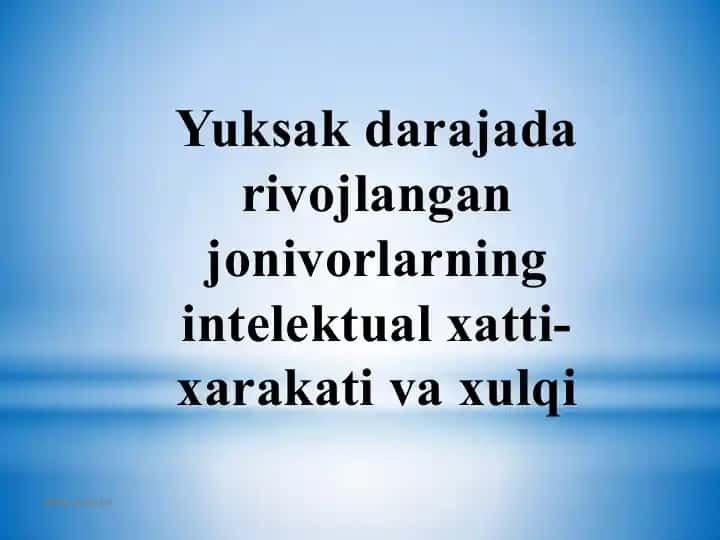 Hayvonlar psixologiyasi