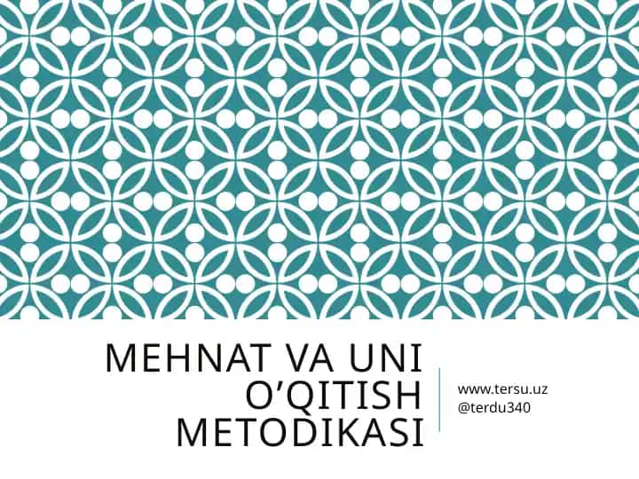 Mehnat va uning o‘qitish metodikasi