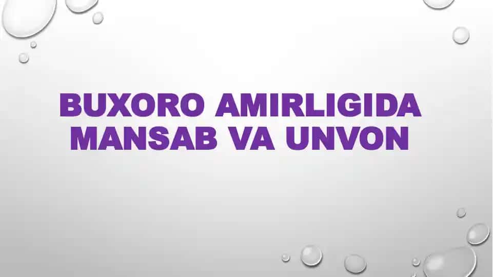 Buxoro amirligining davlat boshqaruvi