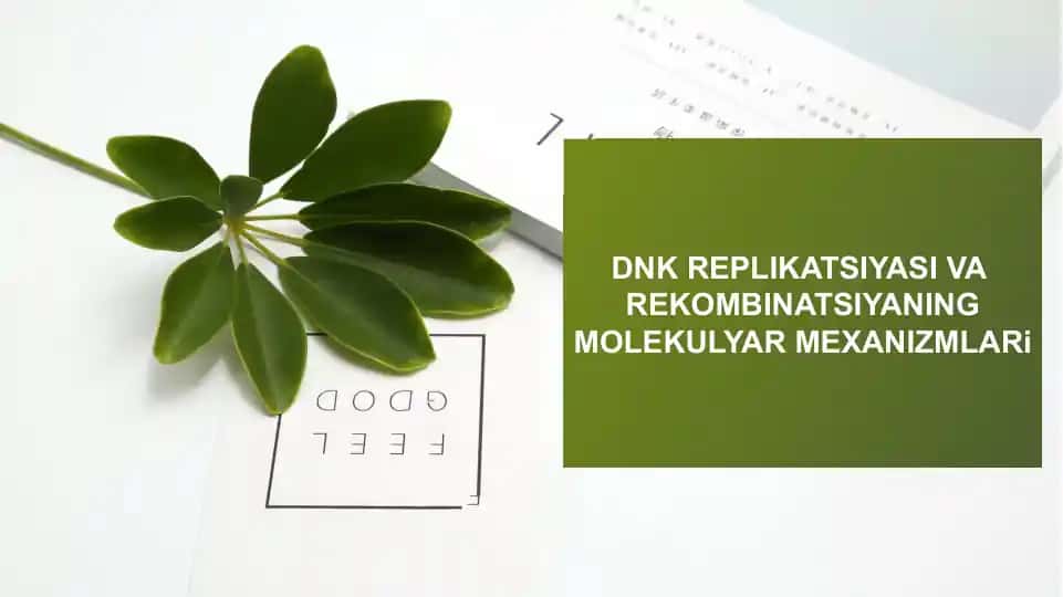 DNK REPLIKATSIYASI VA REKOMBINATSIYANING MOLEKULYAR MEXANIZMLARi