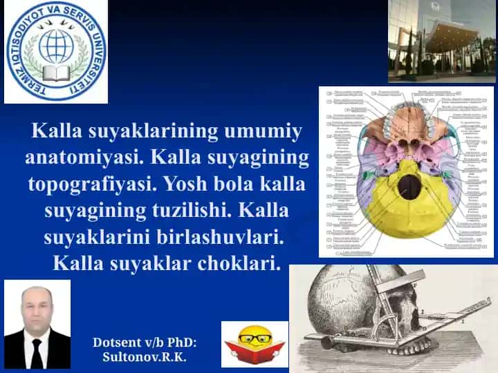 Kallasuyaklarining umumiy anatomiyasi
