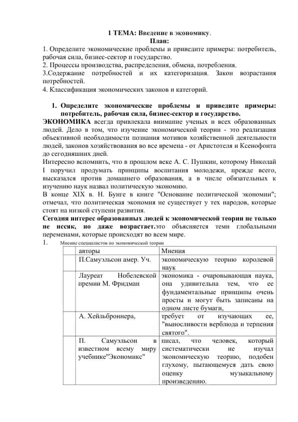 Введение в экономику