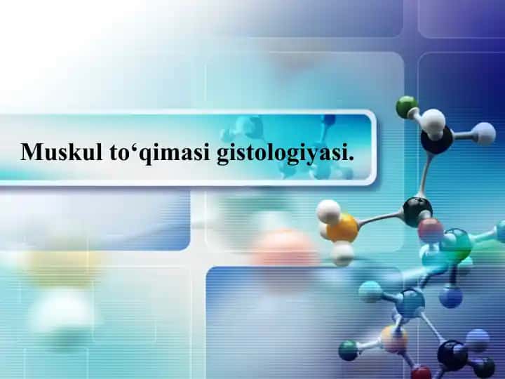 Muskulto‘qimasigistologiyasi