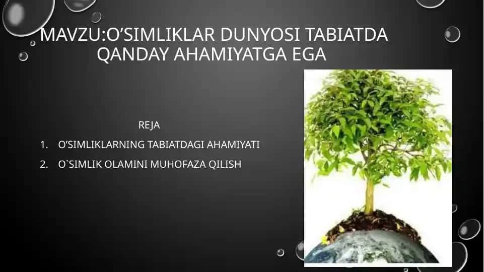 O’simliklar ekologiyasi