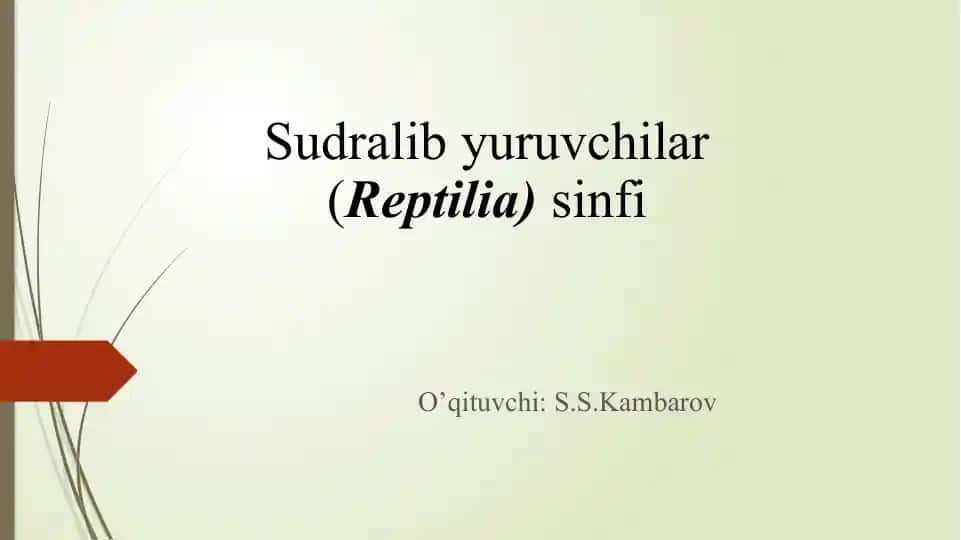 Sudralibyuruvchilar (Anapsida) sinfi