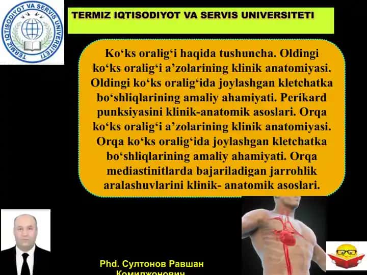 Ko‘ks oralig‘i haqida tushuncha