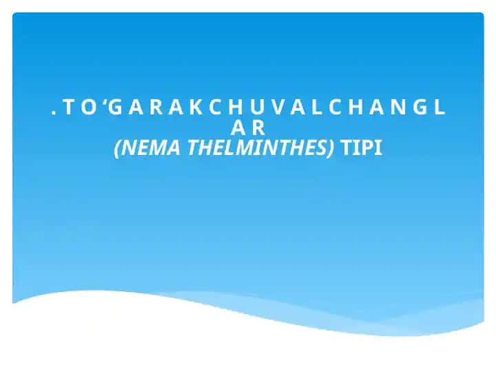 To‘garakchuvalchanglar (Nematoda) tipi