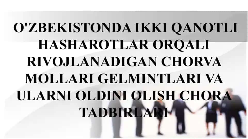 Chorva mollari gelmintlari va ularni oldini olish chora tadbirlari (ikki qanotli hasharotlardan rivojlanadigan)