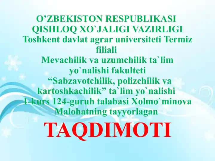 So`zlarning ma`noliq ismlari