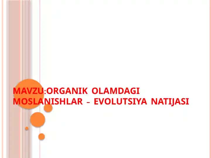ORGANIK OLAMDAGI MOSLANISHLAR – EVOLUTSIYA NATIJASI