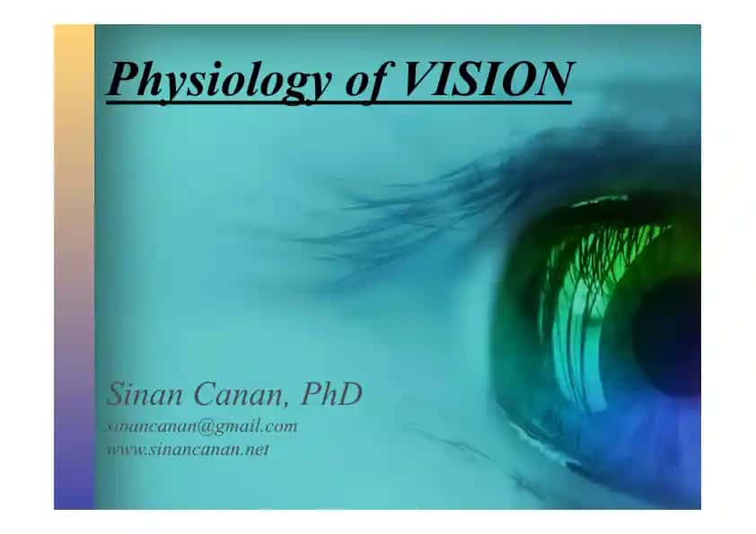 Physiology of VISION