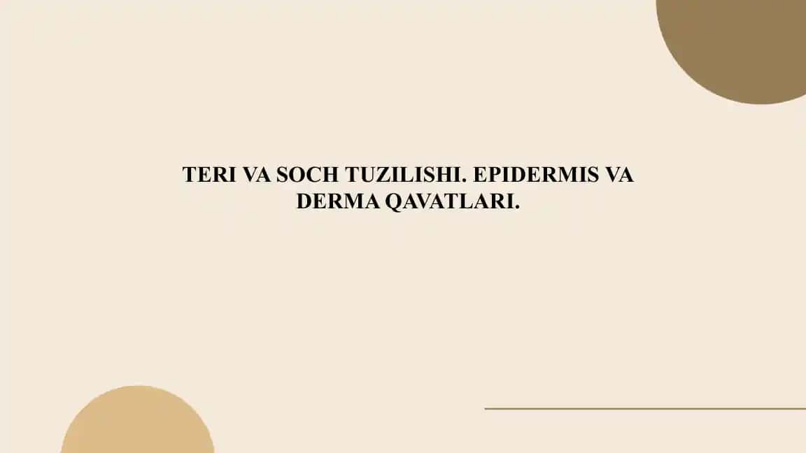 Teri va soch tuzilishi. Epidermis va derma qavatlari