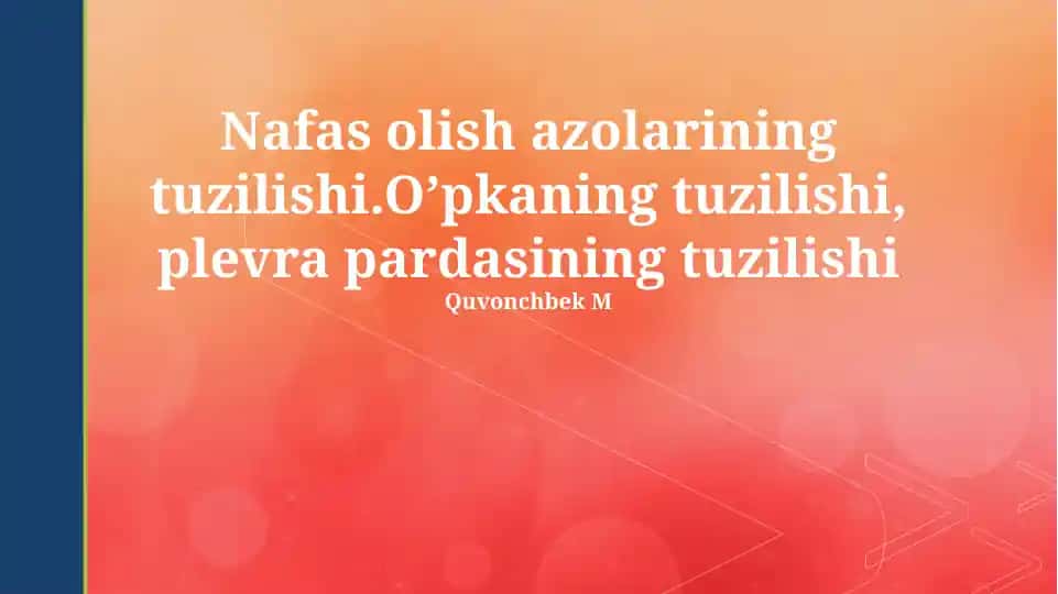 Nafas olish azolarining tuzilishi