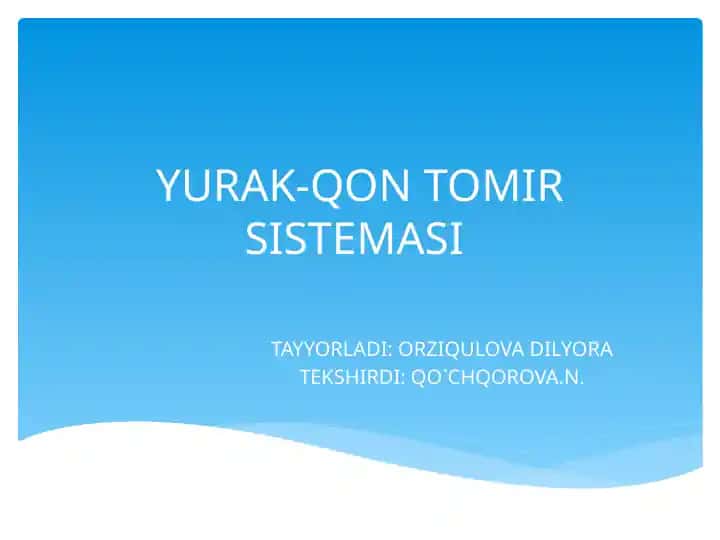 Yurak-qon tomir tizimi