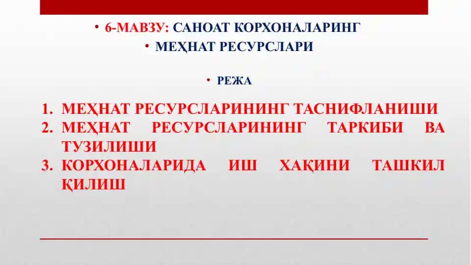 Mehnat Resurslari
