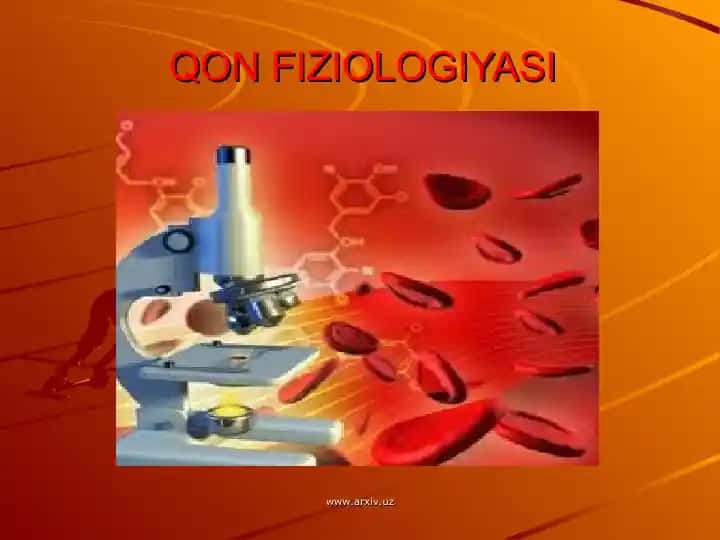 Qon Fiziologiyasi