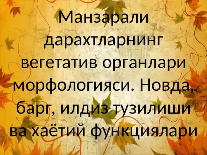 Daraxtlarning vegetativ organlari morfologiyasi